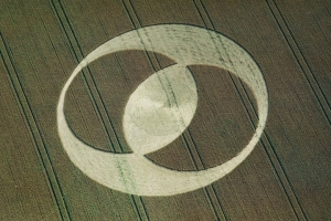 Cropcircle No. 8